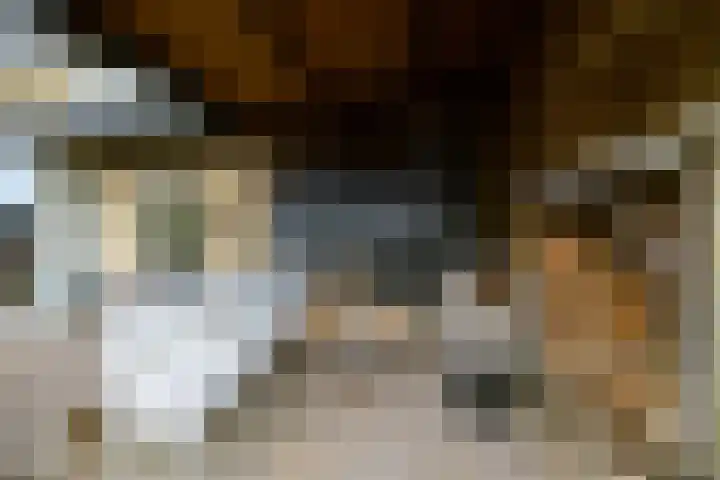 Vrachelsestraat 76 A Den Hout thumbnail 34