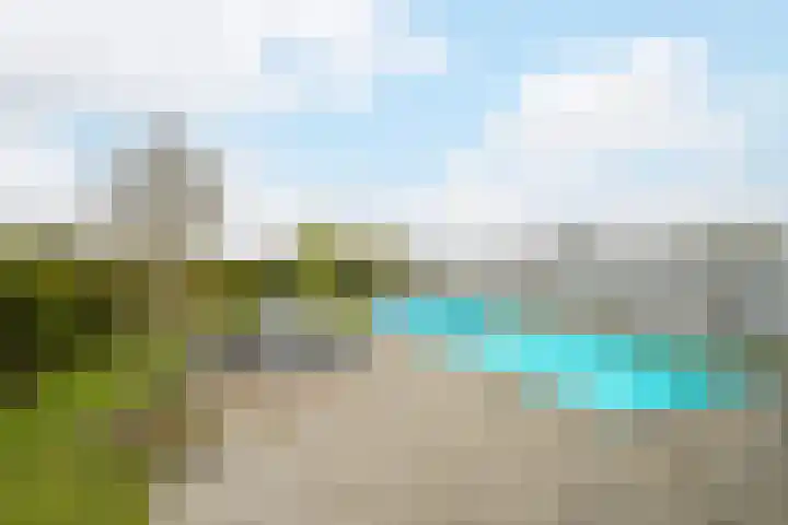 Vrachelsestraat 76 A Den Hout thumbnail 4