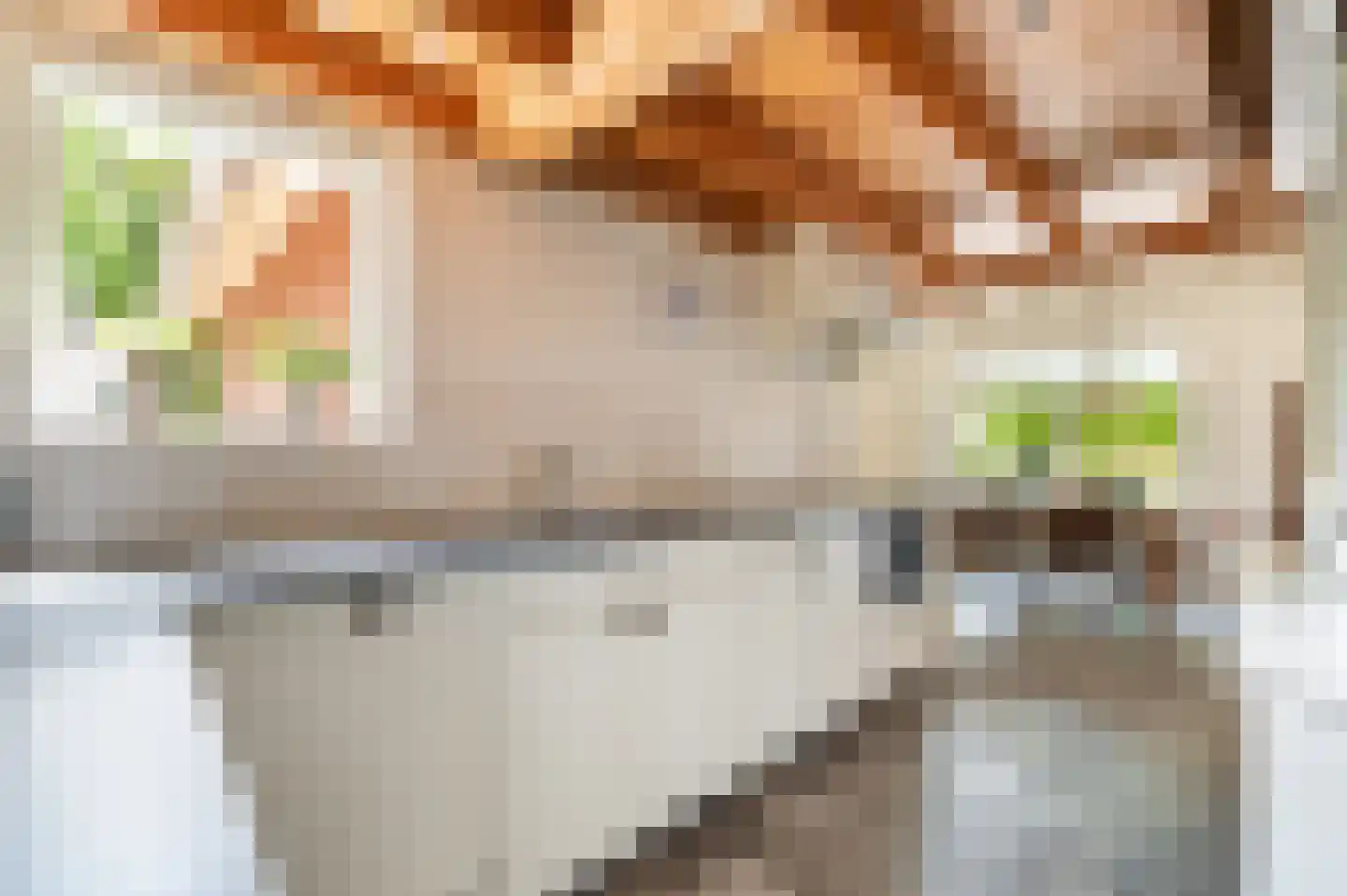 Vragenderweg 17 Lichtenvoorde thumbnail 15