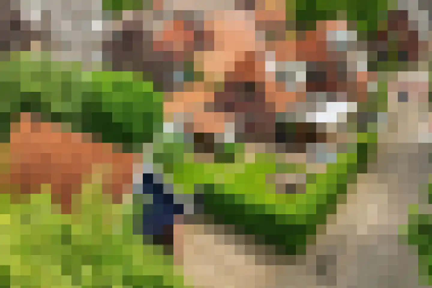 Vragenderweg 17 Lichtenvoorde thumbnail 5