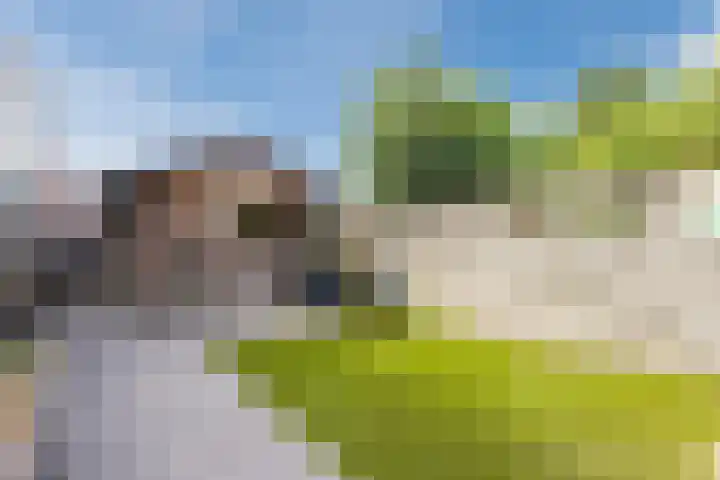 Vragenderweg 28 Lichtenvoorde thumbnail 33