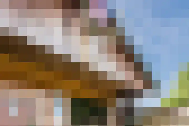Vragenderweg 28 Lichtenvoorde thumbnail 36