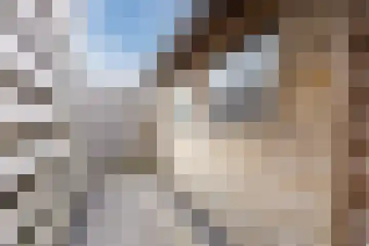 Vragenderweg 28 Lichtenvoorde thumbnail 37