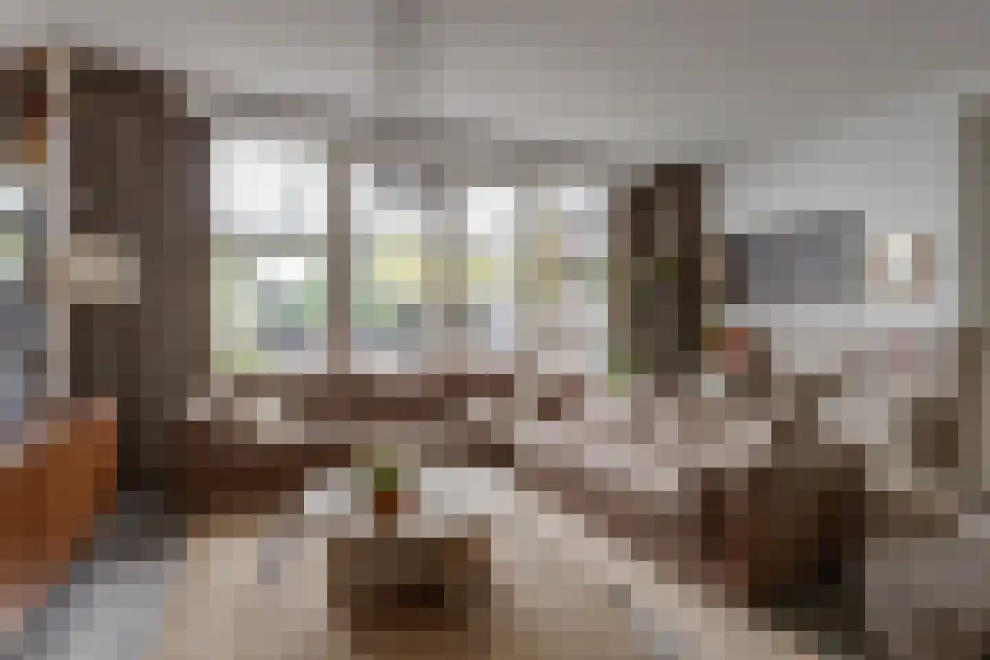 Vragenderweg 56 b Lichtenvoorde thumbnail 21
