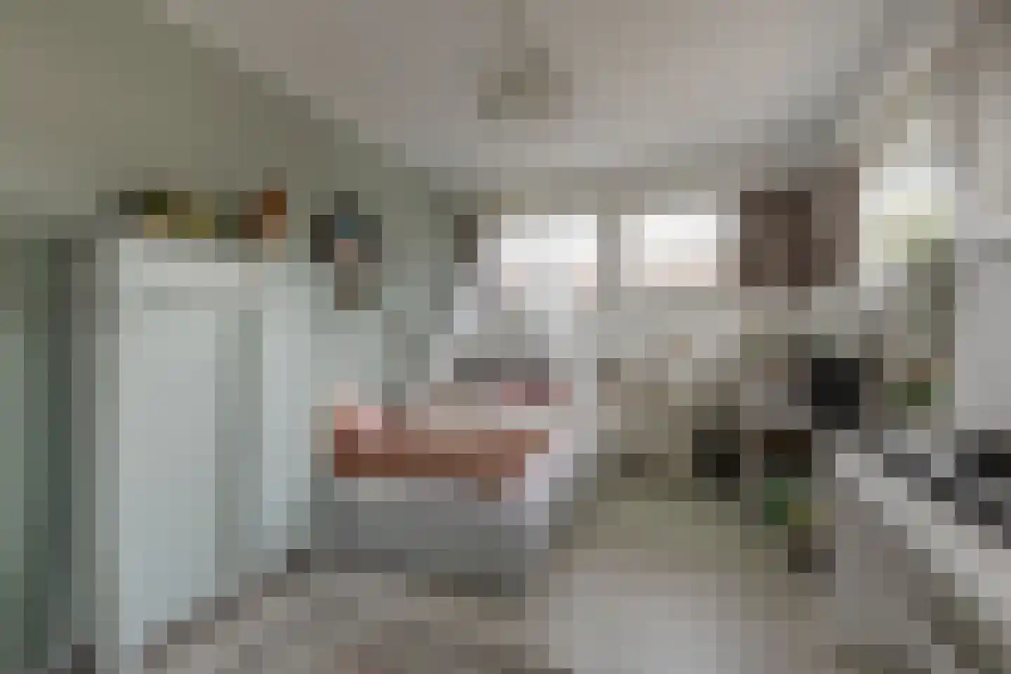 Vragenderweg 56 b Lichtenvoorde thumbnail 39