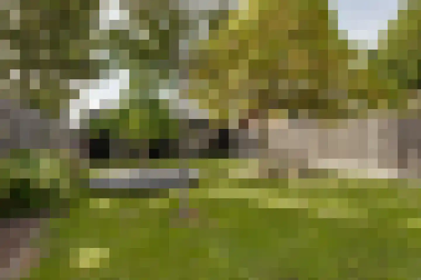 Vragenderweg 56 b Lichtenvoorde thumbnail 45