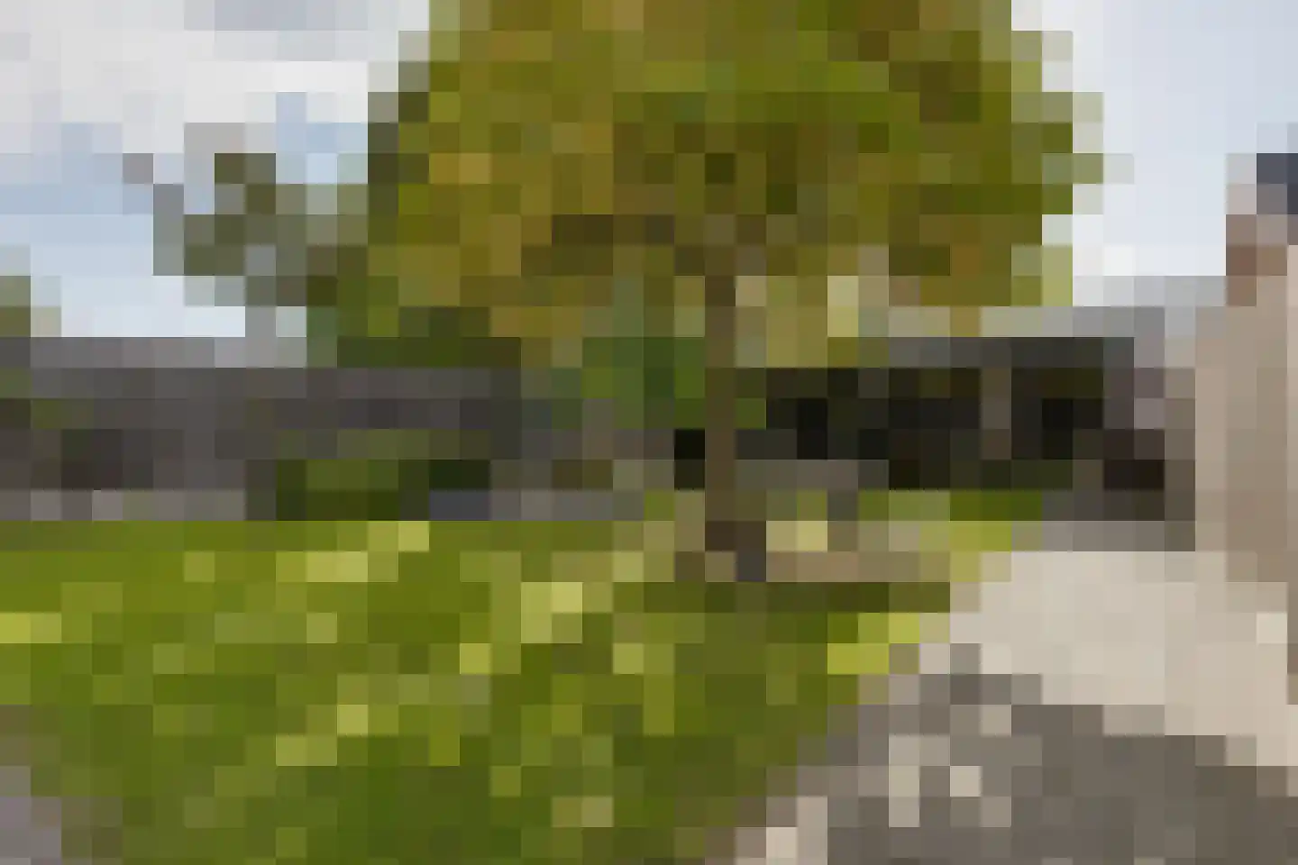 Vragenderweg 56 b Lichtenvoorde thumbnail 46