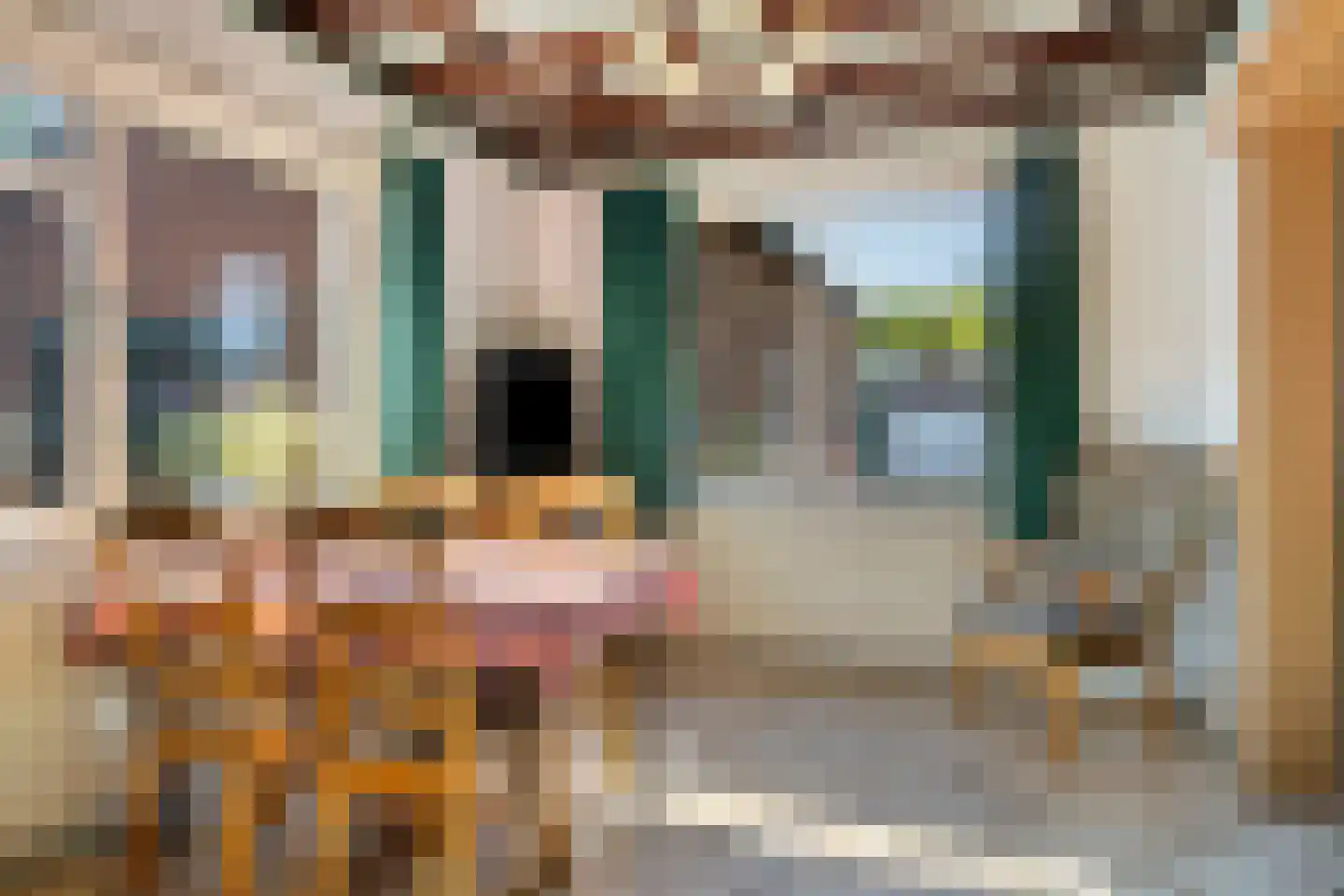 Vragenderweg 64 a Vragender thumbnail 12