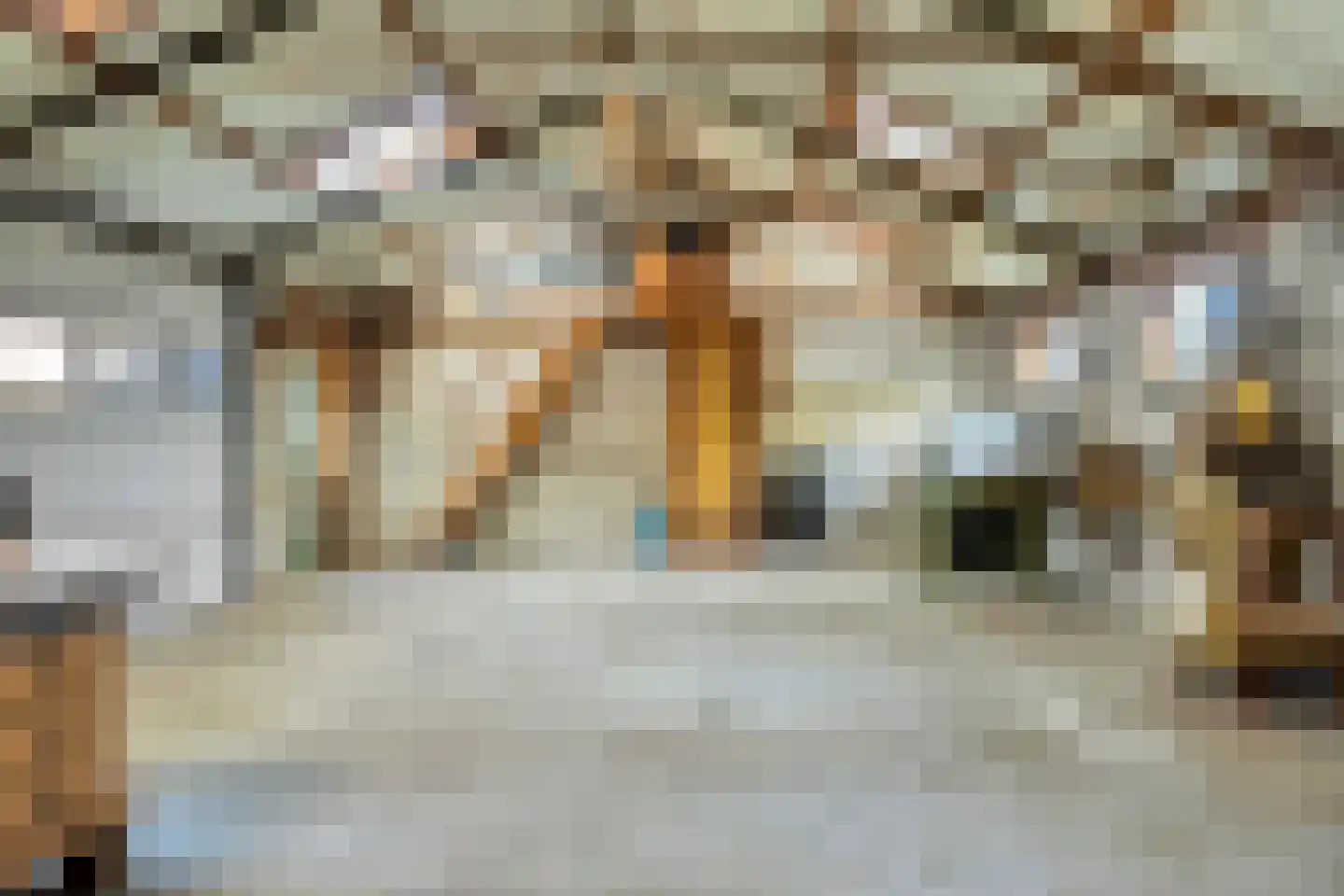 Vragenderweg 64 a Vragender thumbnail 29