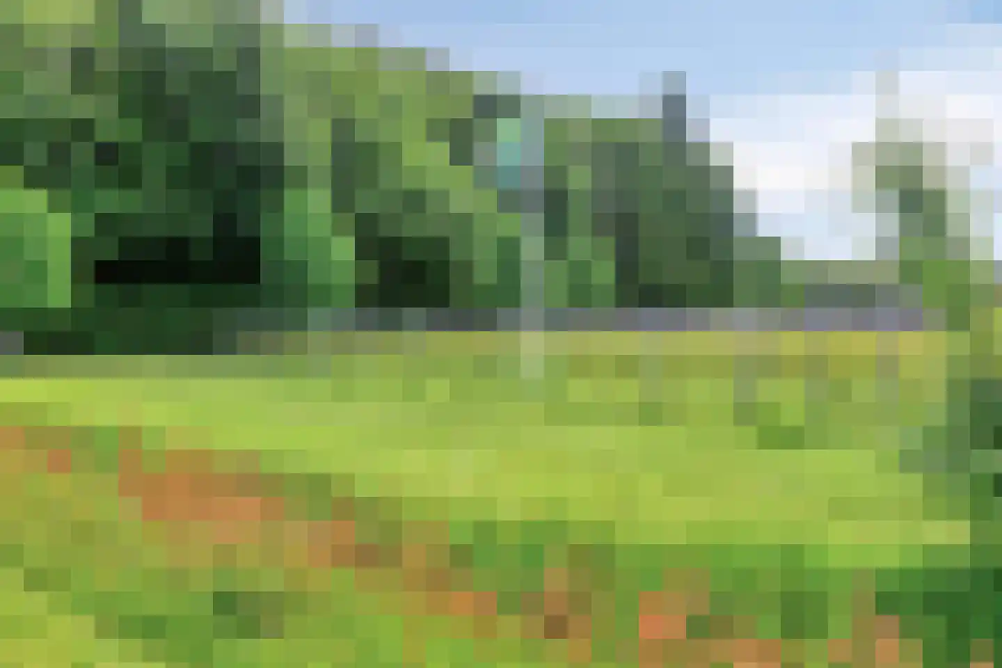 Vragenderweg 64 a Vragender thumbnail 38