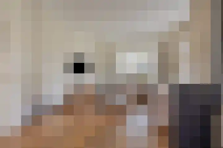 Vragenderweg 66 Vragender thumbnail 16