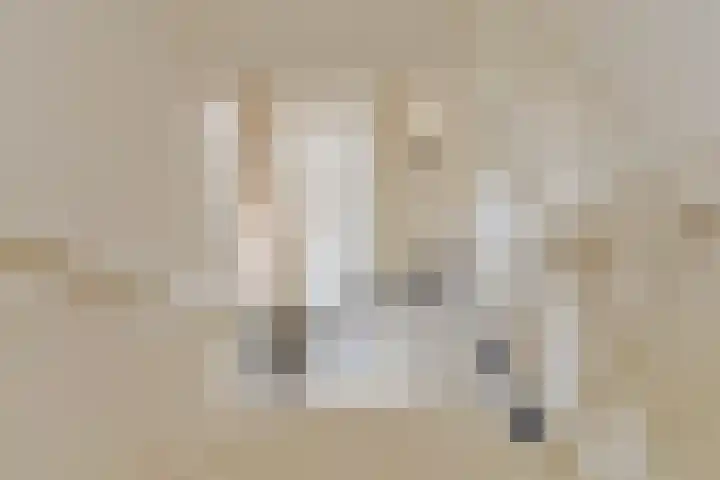 Vragenderweg 66 Vragender thumbnail 26