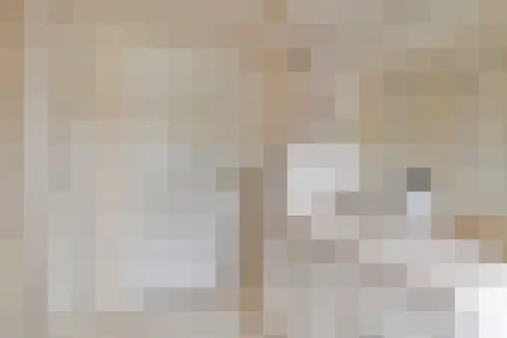 Vragenderweg 66 Vragender thumbnail 32