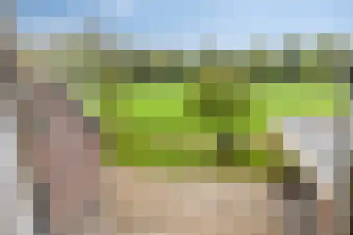 Vragenderweg 66 Vragender thumbnail 36