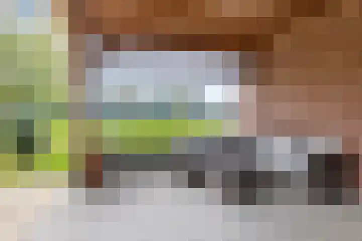 Vragenderweg 66 Vragender thumbnail 37