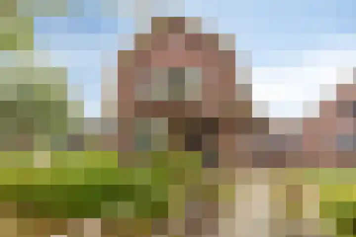 Vragenderweg 66 Vragender thumbnail 4