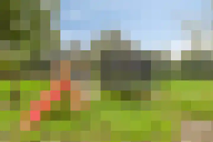 Vragenderweg 66 Vragender thumbnail 42