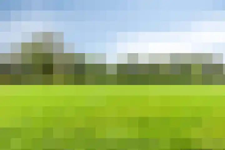 Vragenderweg 66 Vragender thumbnail 48
