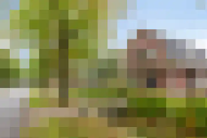 Vragenderweg 66 Vragender thumbnail 5