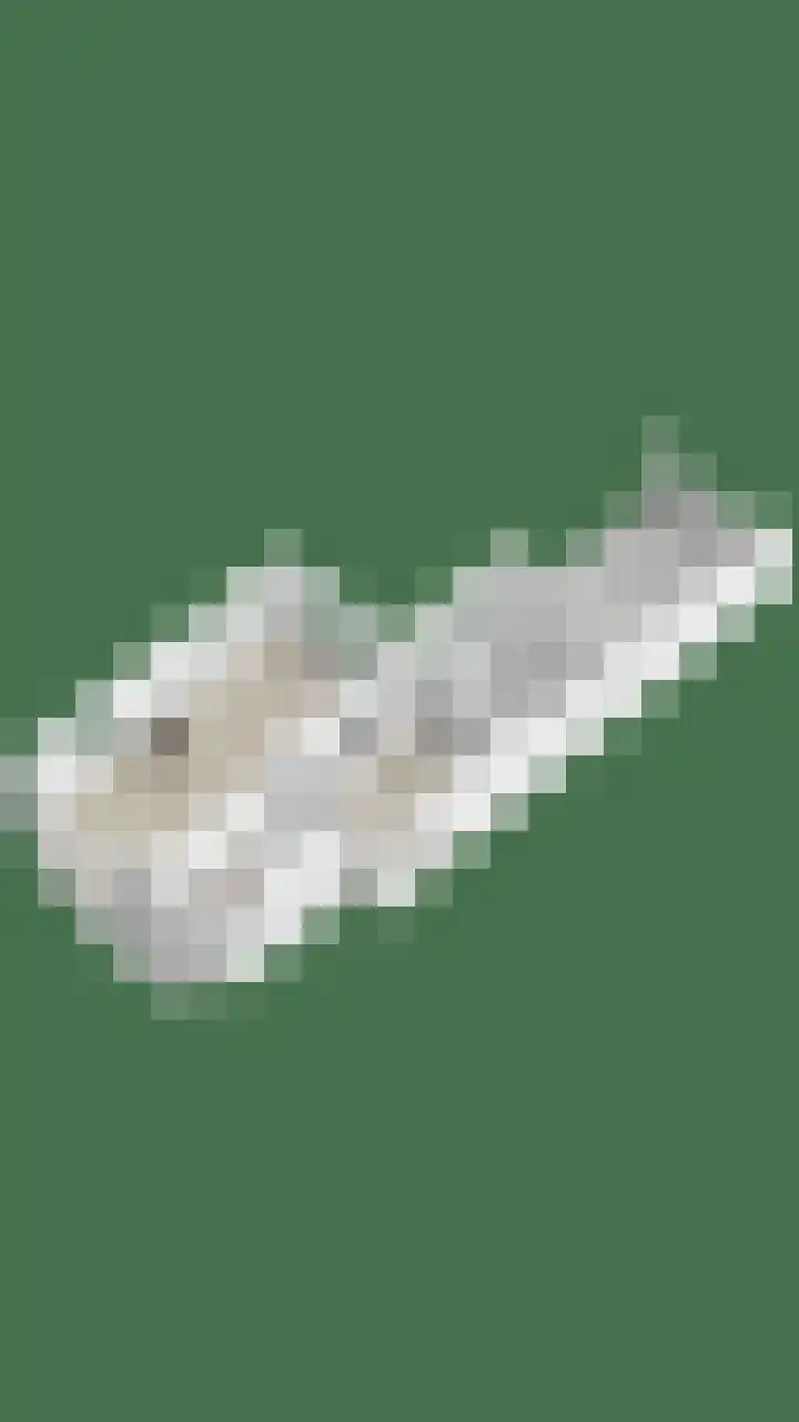 Vragenderweg 66 Vragender thumbnail 50
