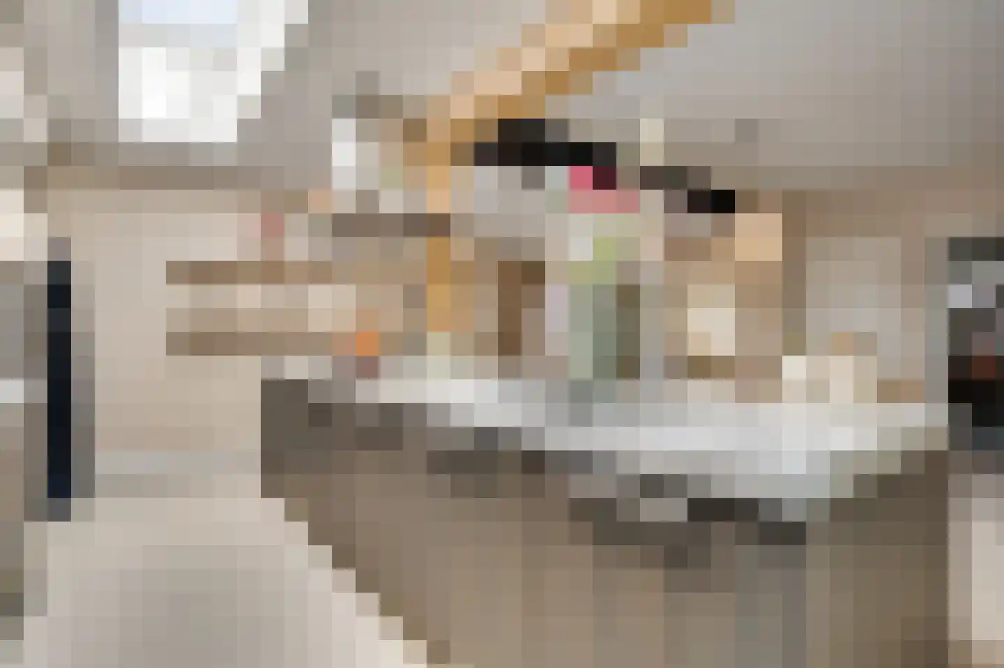 Vrakkerstraat 26 Weert thumbnail 22