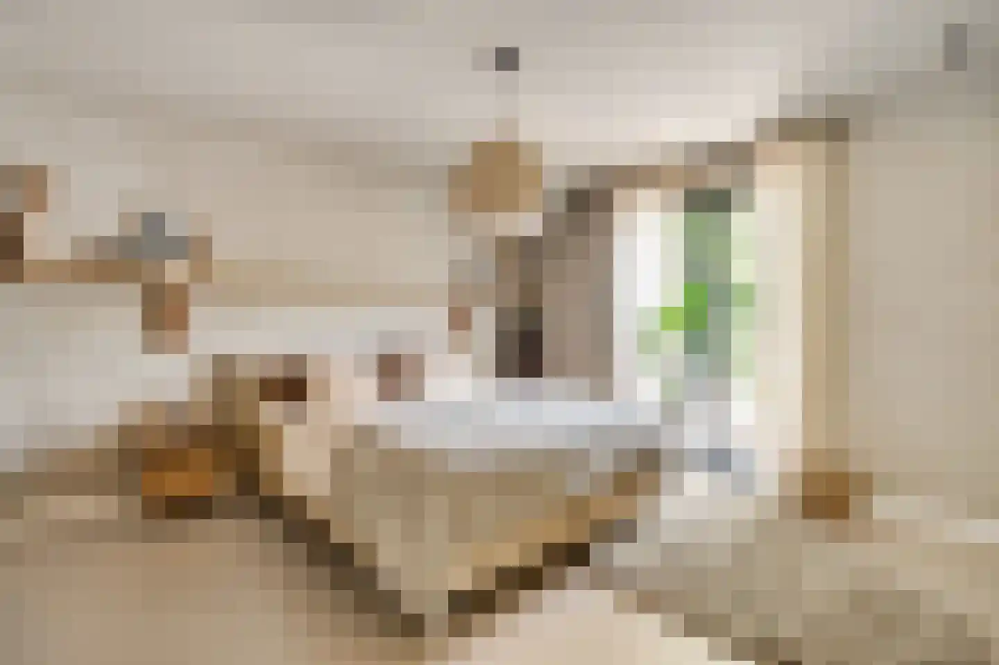Vrakkerstraat 26 Weert thumbnail 31