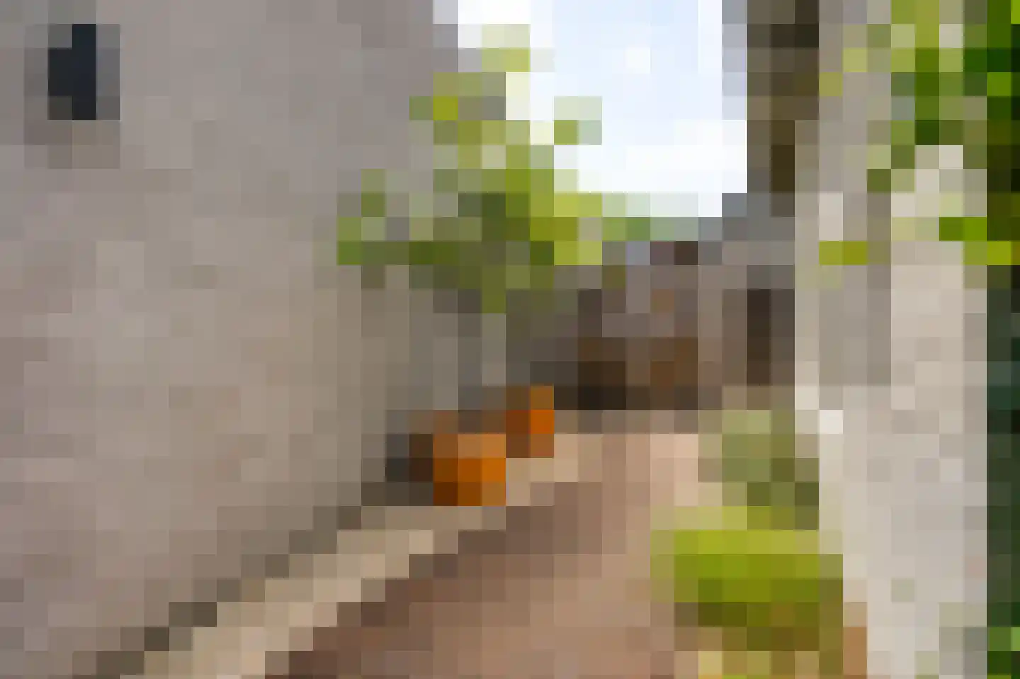 Vrakkerstraat 26 Weert thumbnail 36