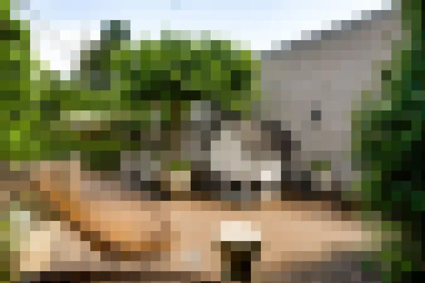 Vrakkerstraat 26 Weert thumbnail 37