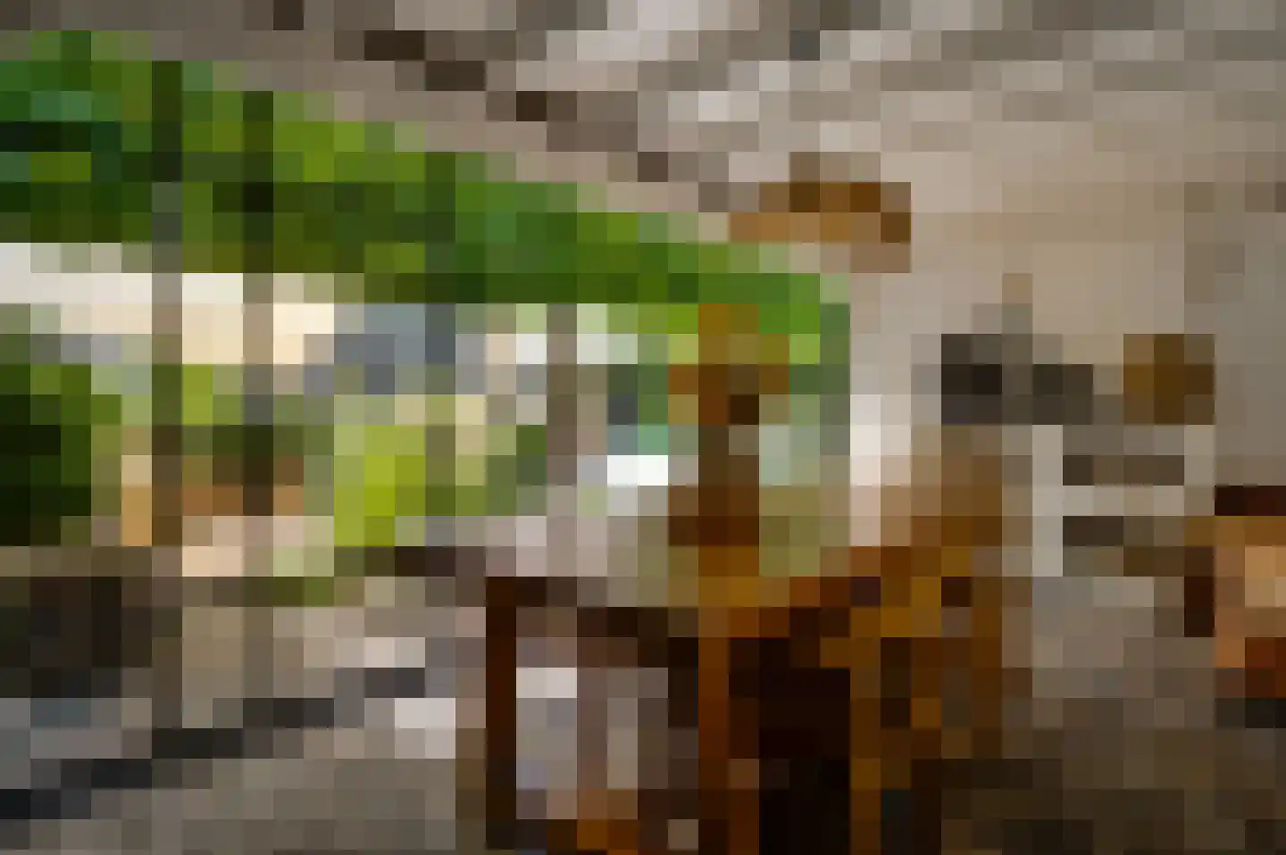 Vrakkerstraat 26 Weert thumbnail 4