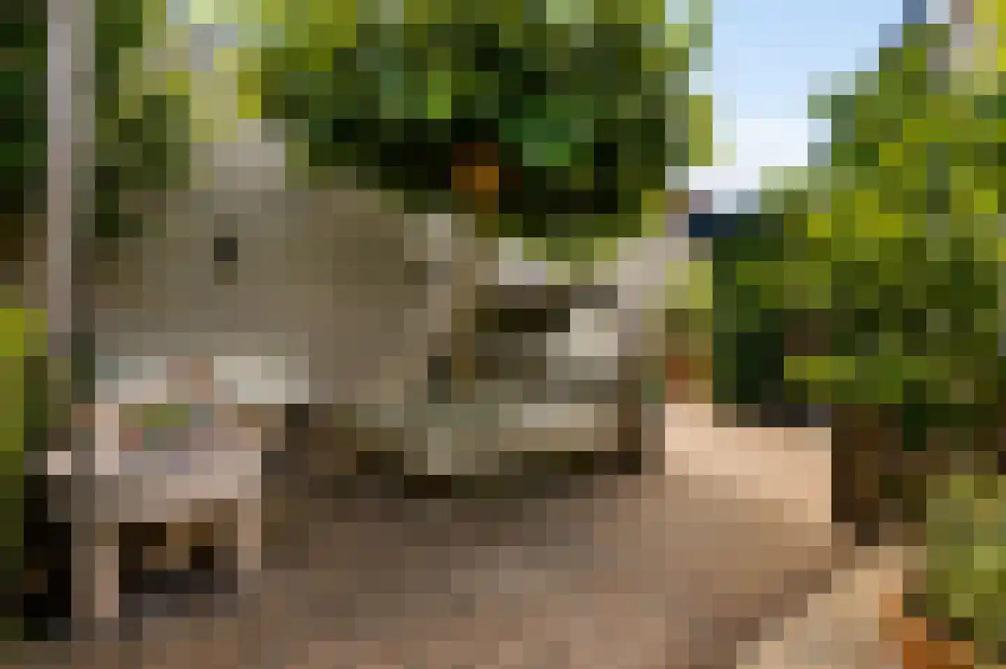 Vrakkerstraat 26 Weert thumbnail 40