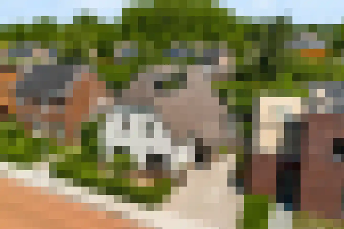 Vrakkerstraat 26 Weert thumbnail 5