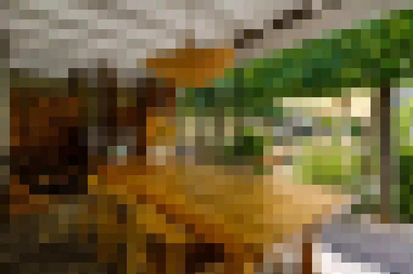 Vrakkerstraat 26 Weert thumbnail 50