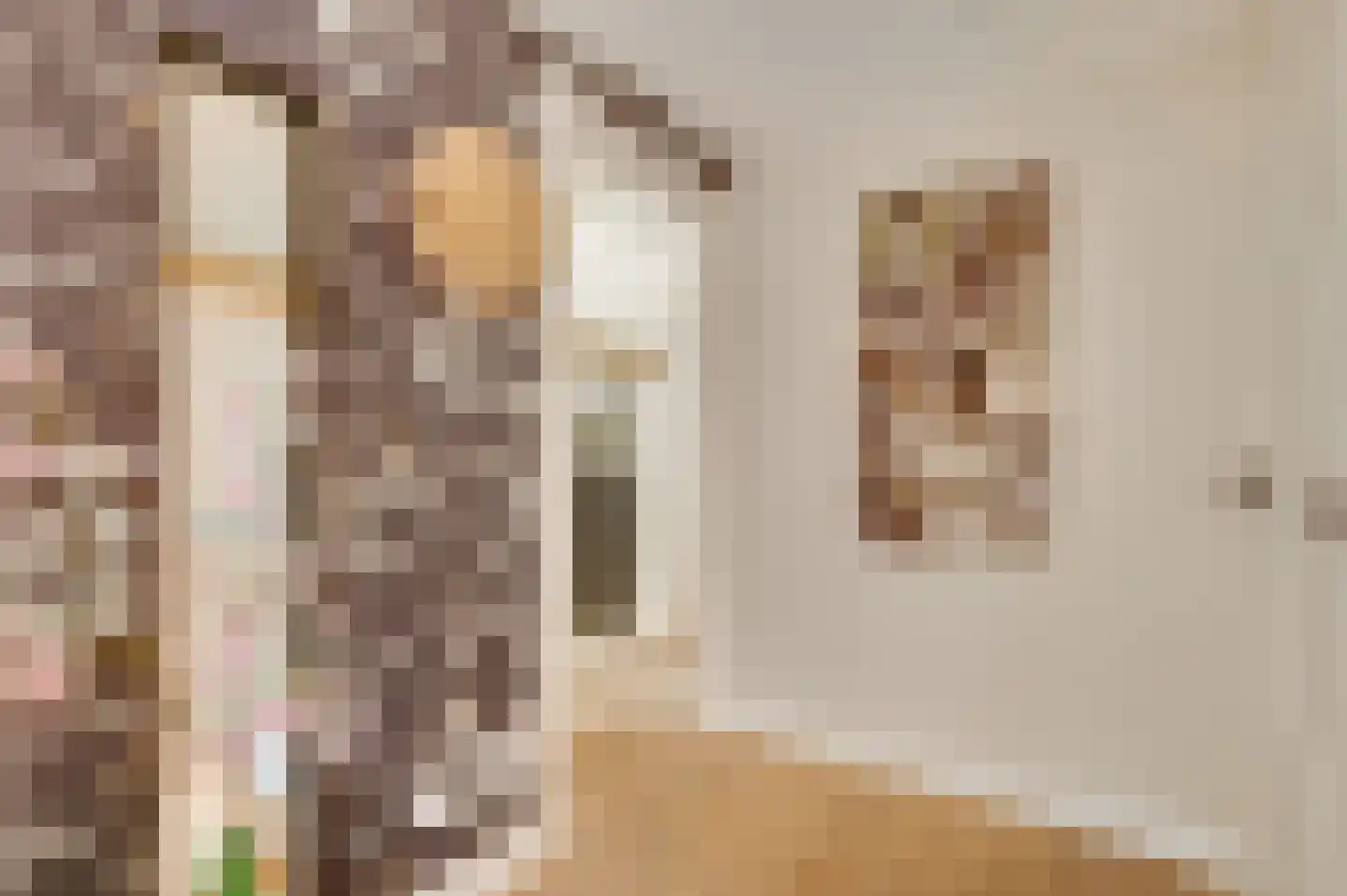 Vrakkerstraat 26 Weert thumbnail 53