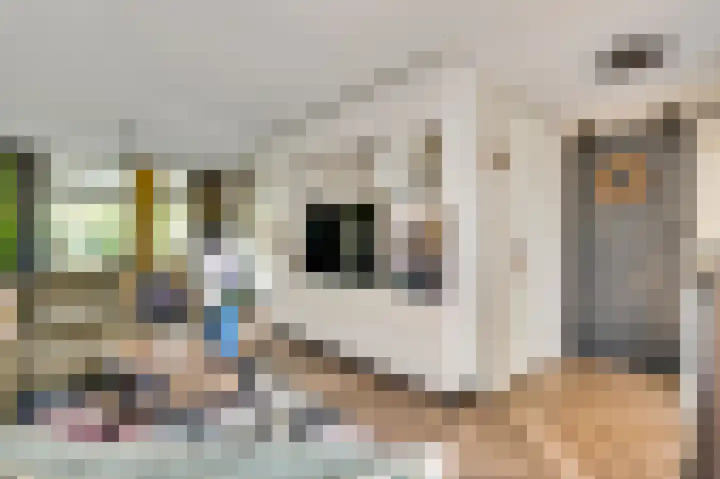 Vrakkerstraat 89 Weert thumbnail 16