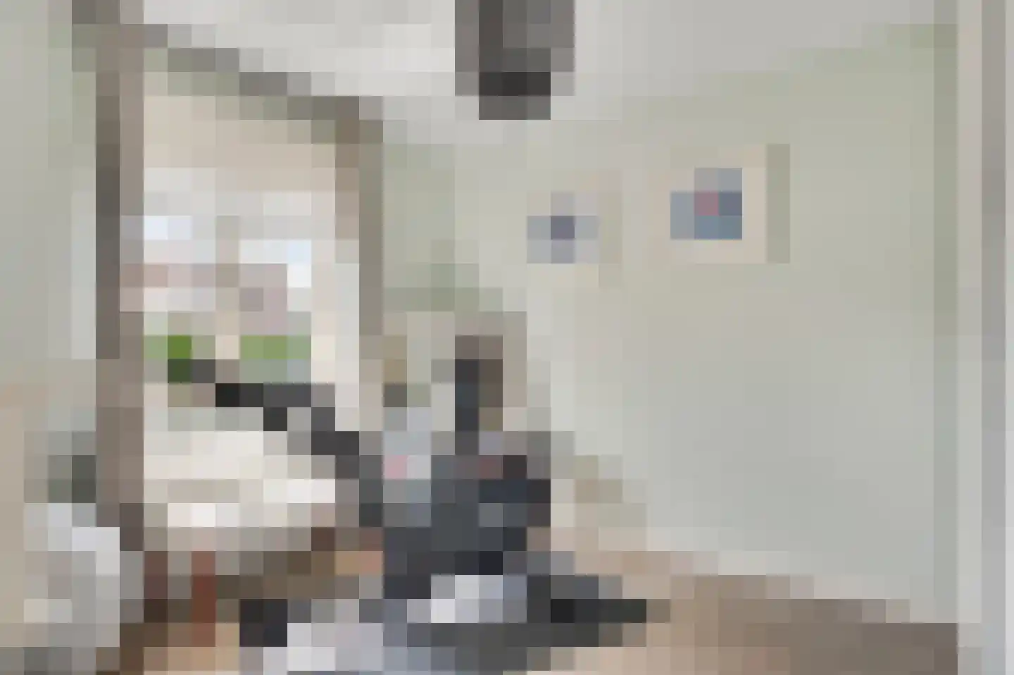 Vrakkerstraat 89 Weert thumbnail 27