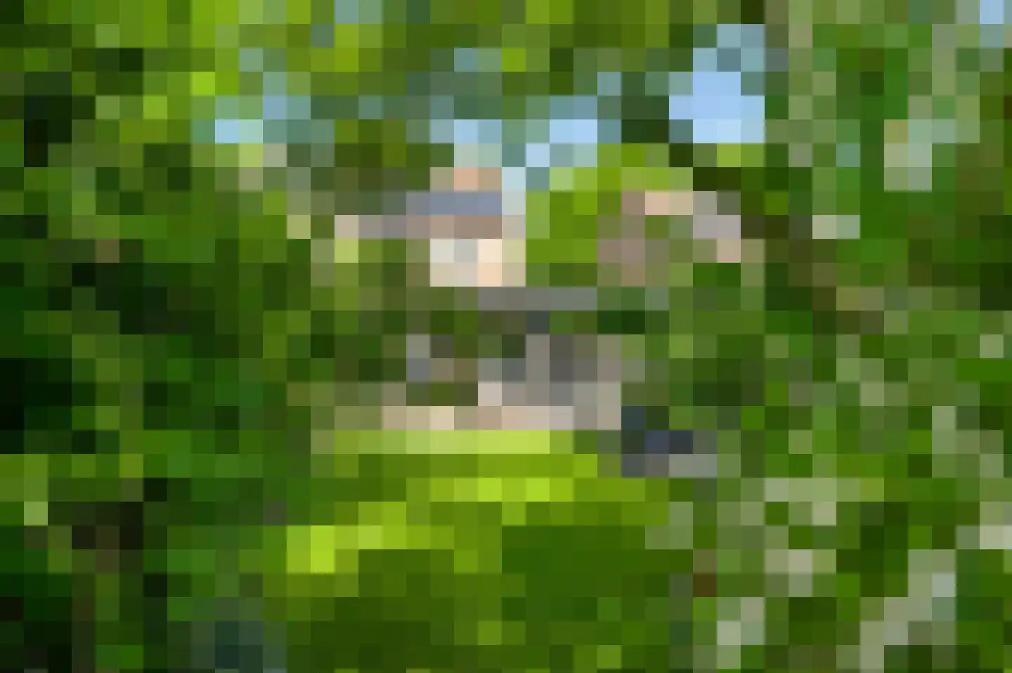 Vrakkerstraat 89 Weert thumbnail 41