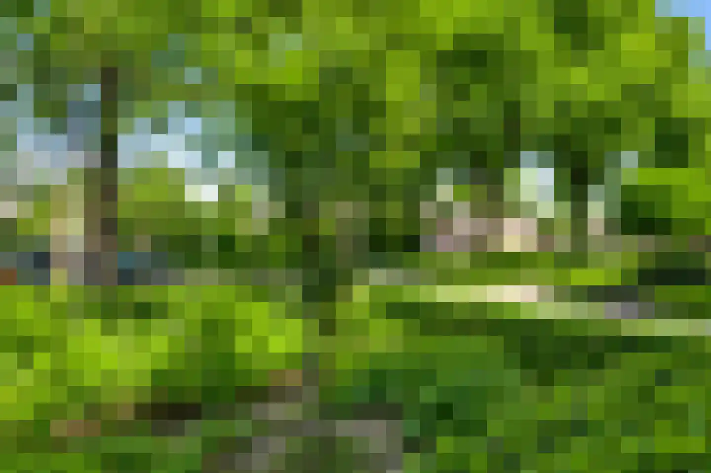 Vrakkerstraat 89 Weert thumbnail 43