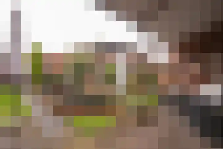 Vrangendael 114 Sittard thumbnail 13