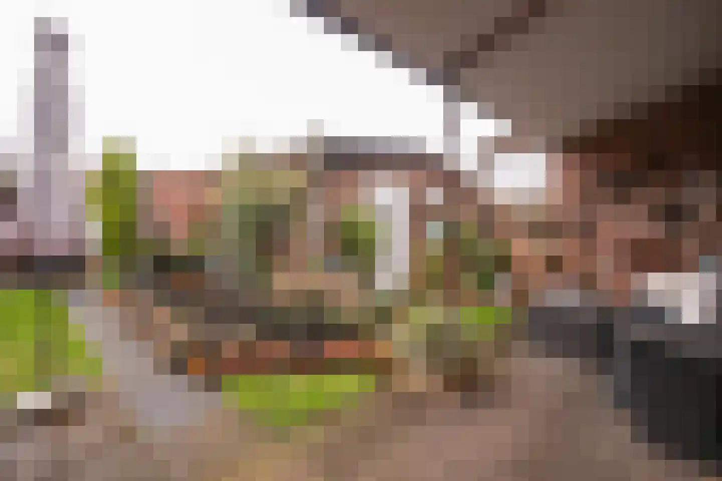 Vrangendael 114 Sittard thumbnail 13