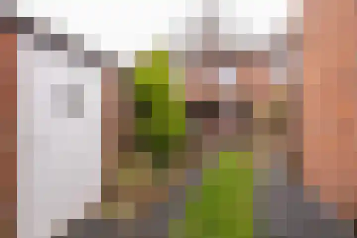 Vrangendael 114 Sittard thumbnail 4
