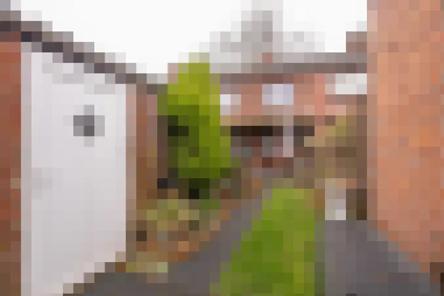 Vrangendael 114 Sittard thumbnail 4