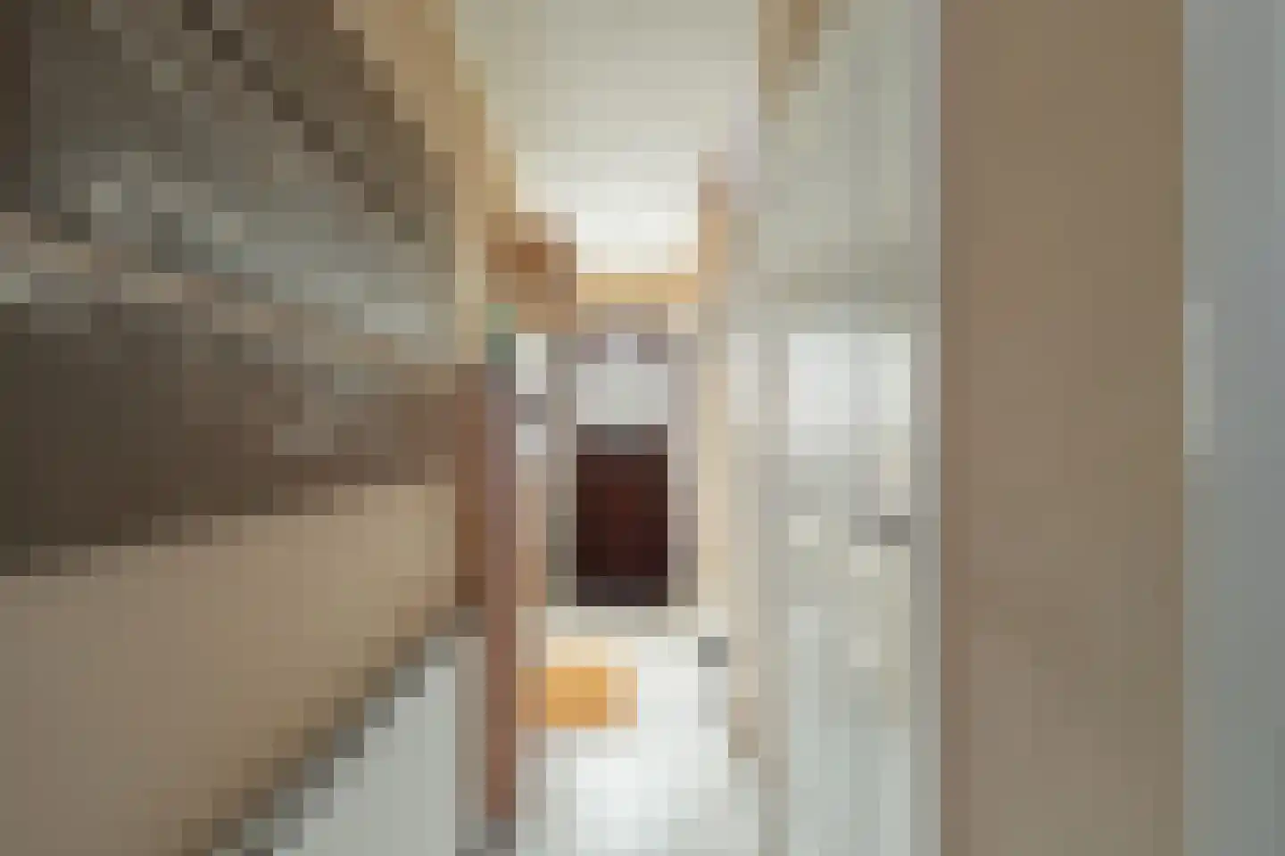 Vrangendael 114 Sittard thumbnail 5