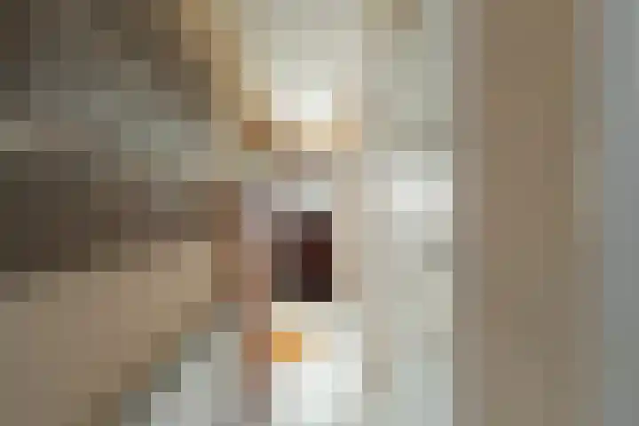 Vrangendael 114 Sittard thumbnail 5