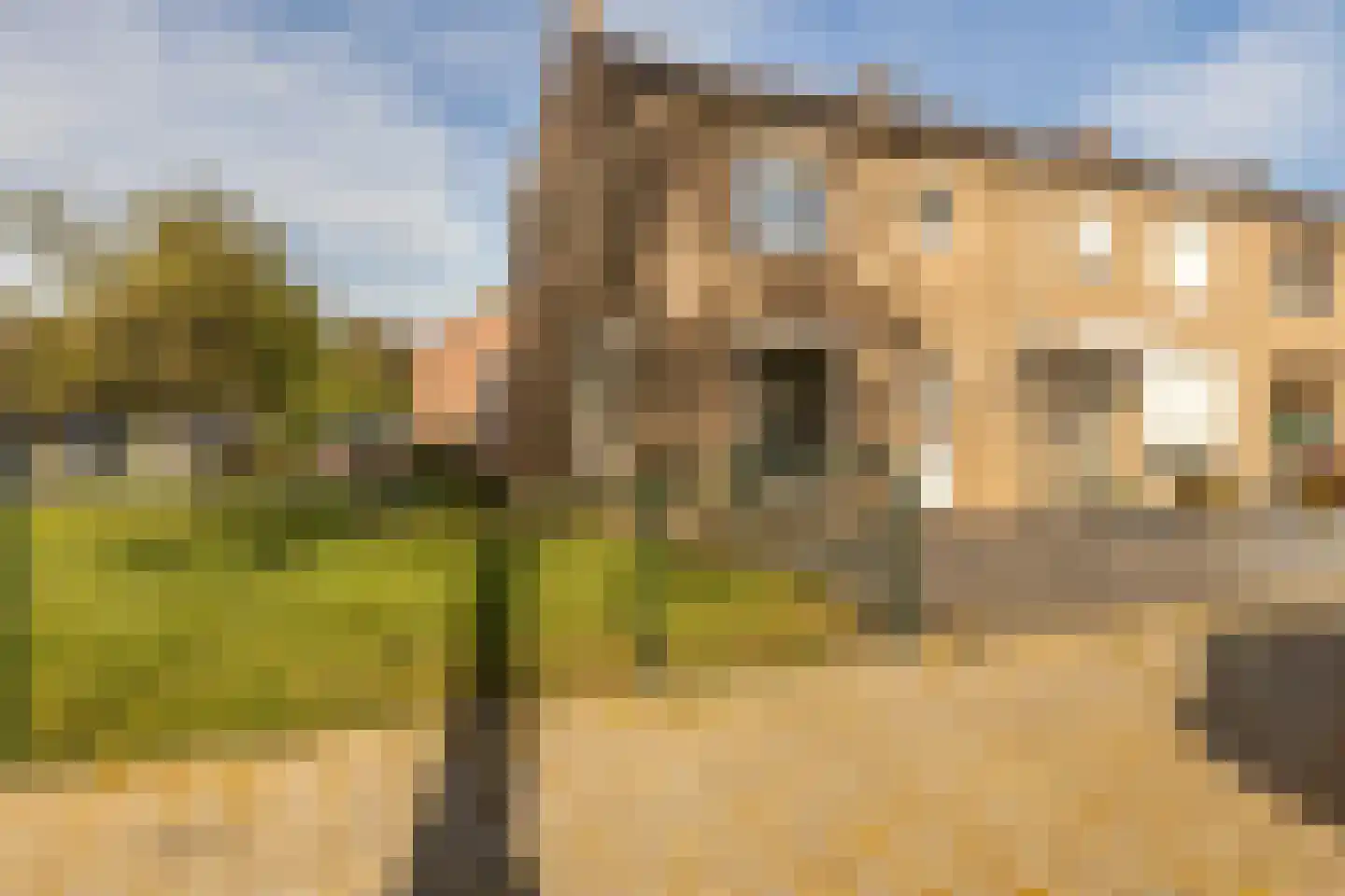 Vrangendael 128 in Sittard
