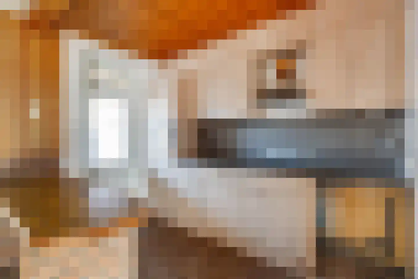 Vrangendael 128 Sittard thumbnail 17