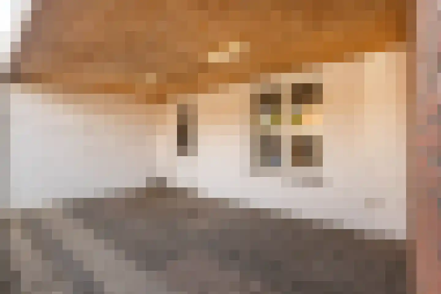 Vrangendael 128 Sittard thumbnail 26