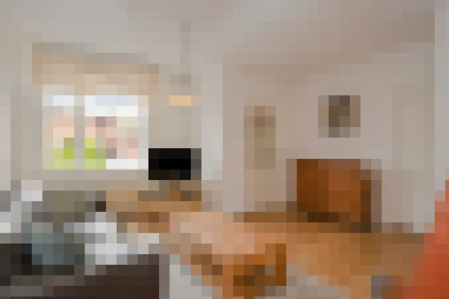 Vrangendael 151 Sittard thumbnail 14
