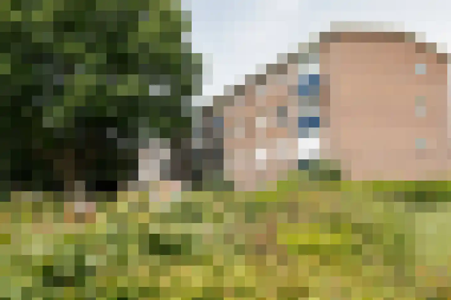 Vrangendael 36 II Sittard thumbnail 6