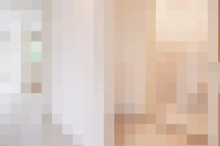 Vrangendael 40 Sittard thumbnail 17