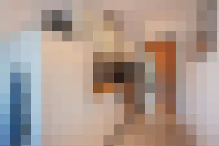 Vrangendael 40 Sittard thumbnail 19